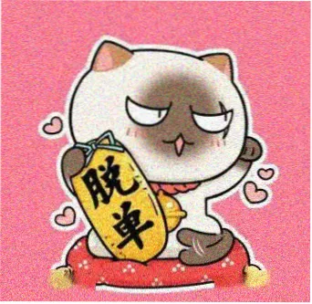 读者迟到的风的头像