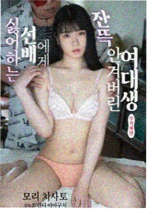 秋季档排播资讯配图